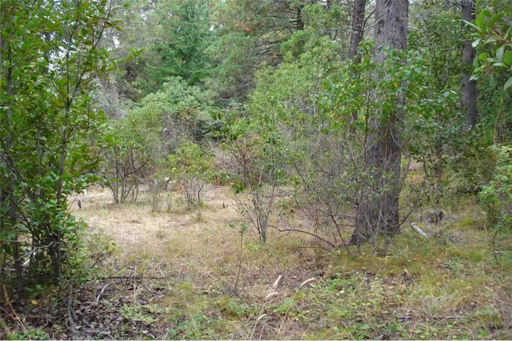 Terreno en Mallin Ahogado, el Bolson, se vende 4