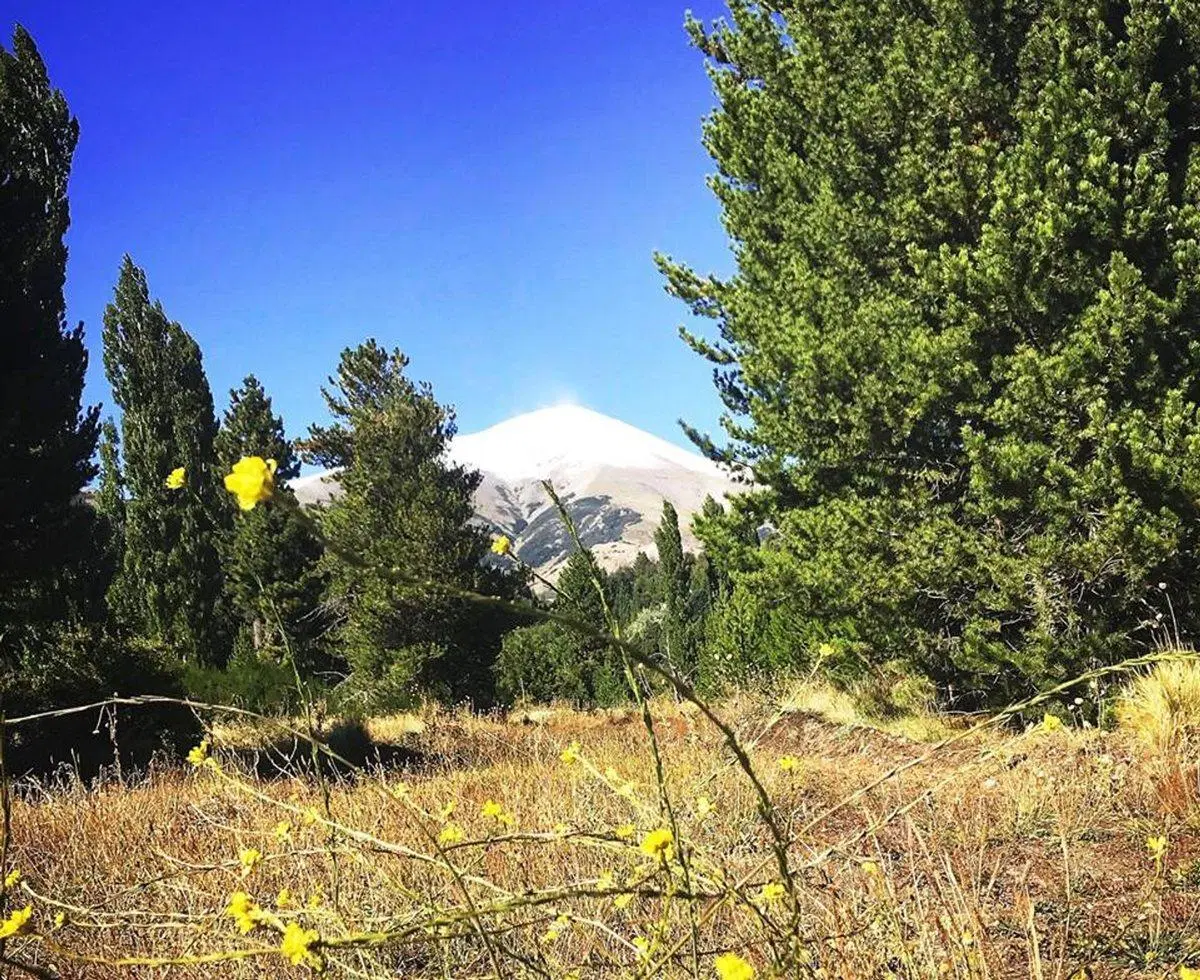 LOTE VENTA EN DOS VALLES FINANCIADO 3