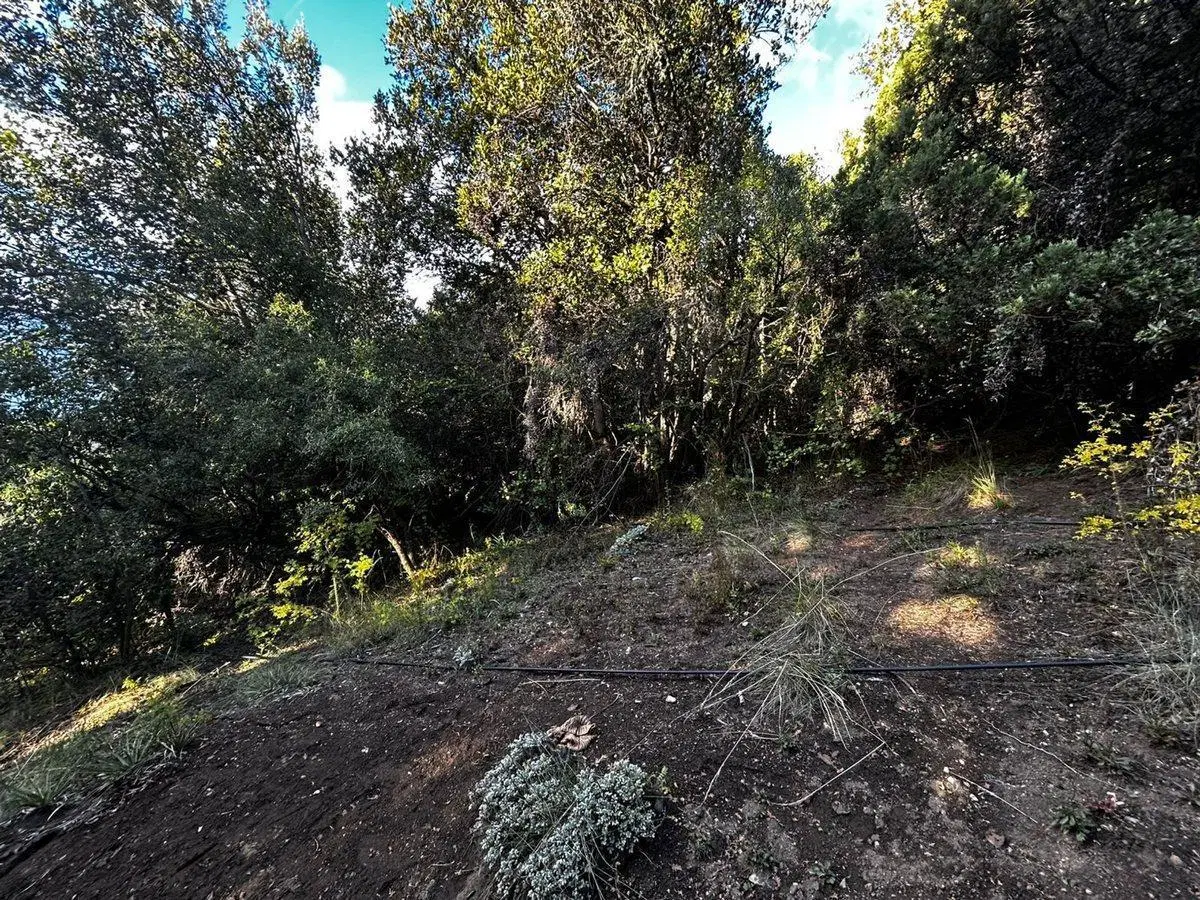 Lote en venta en ladera norte 6