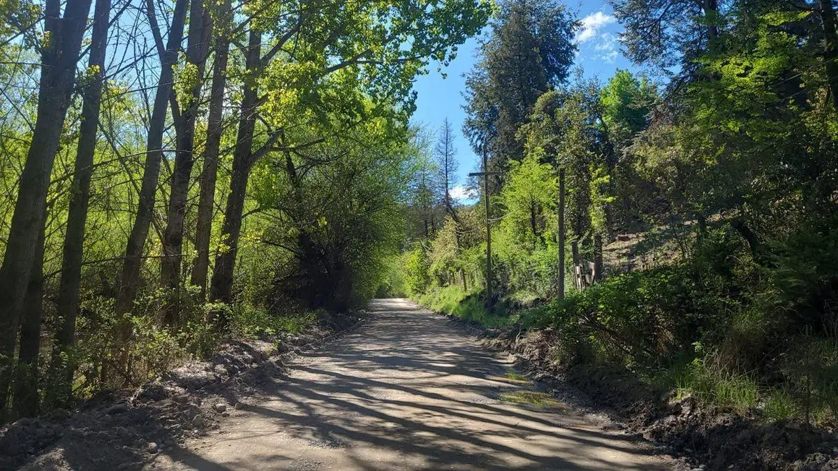 Lote arbolado Loma del Medio 8