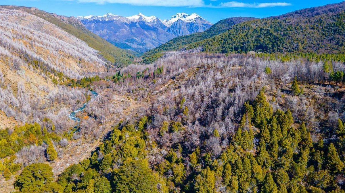 Foto de Campo Cuesta del Ternero, imagen 5