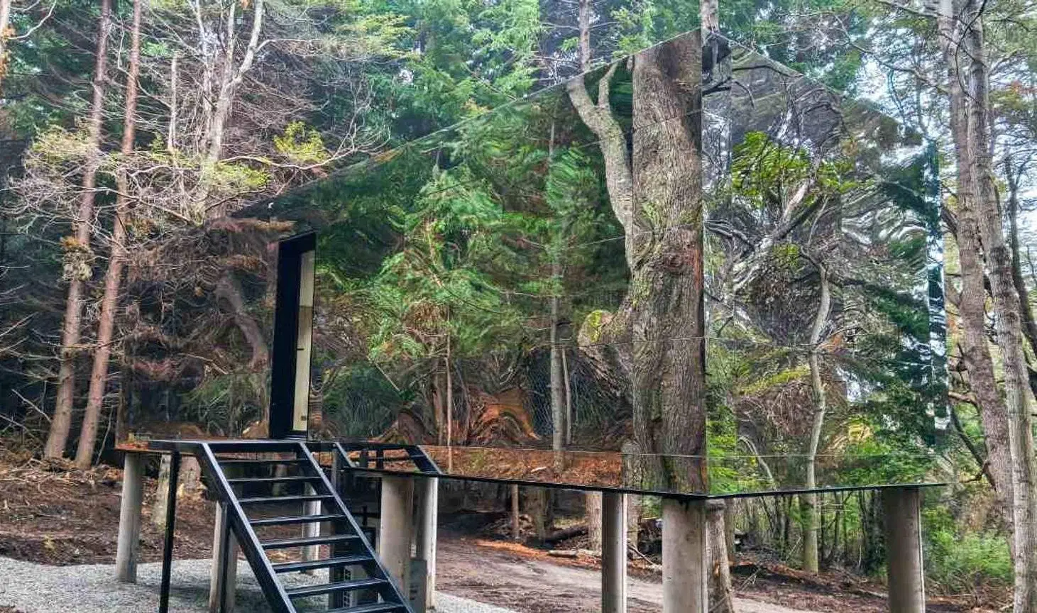 VENTA DE CASAS EN EL BOSQUE KM 20 8