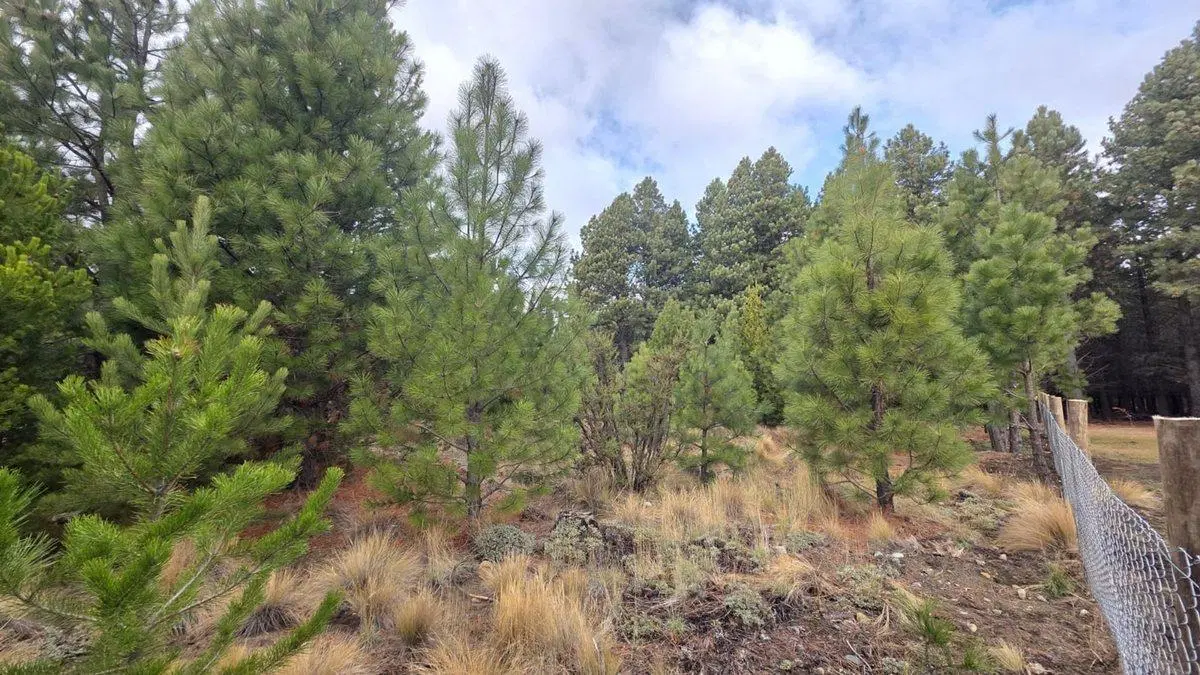 Lote en Bariloche barrio cerrado Dos Valles 4