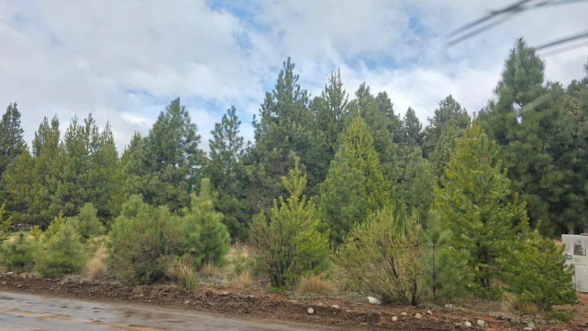 Lote en Bariloche barrio cerrado Dos Valles 8