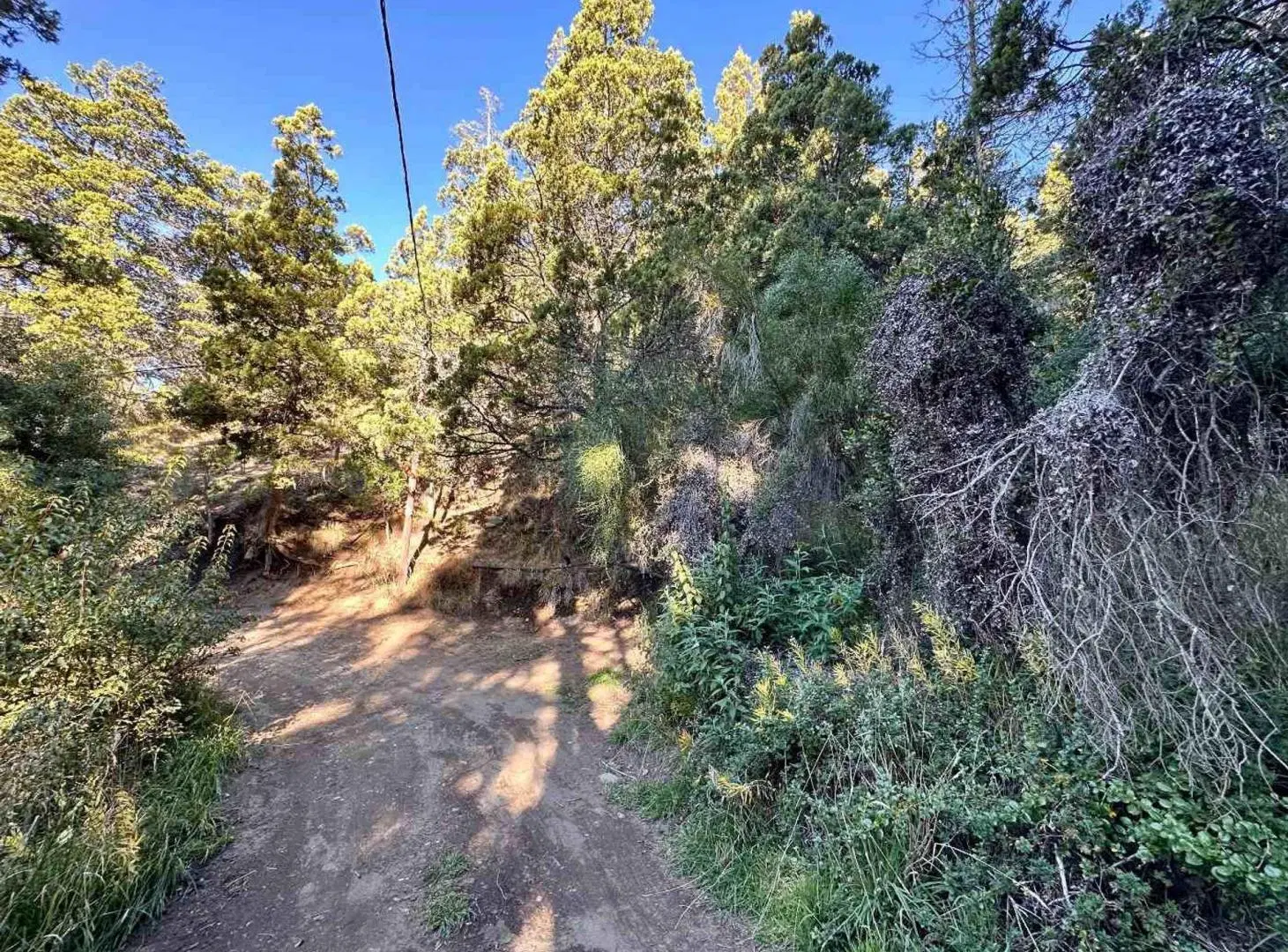 VENTA LOTE BARRIO PARQUE MELIPAL KM 4 BARILOCHE 5