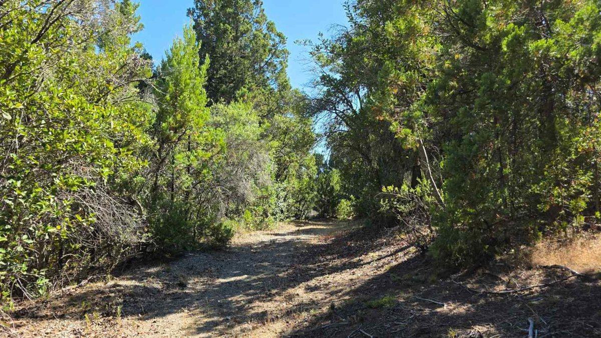 Foto de Campo C° Saturnino M,allin Ahogado, imagen 3