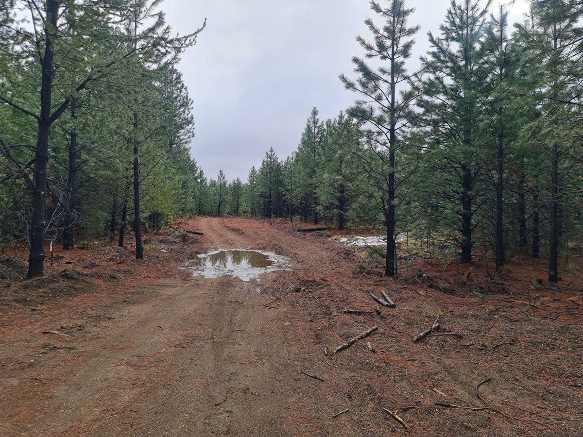 Foto de Venta Terreno en Bariloche Dos Valles Lote L44, imagen 5