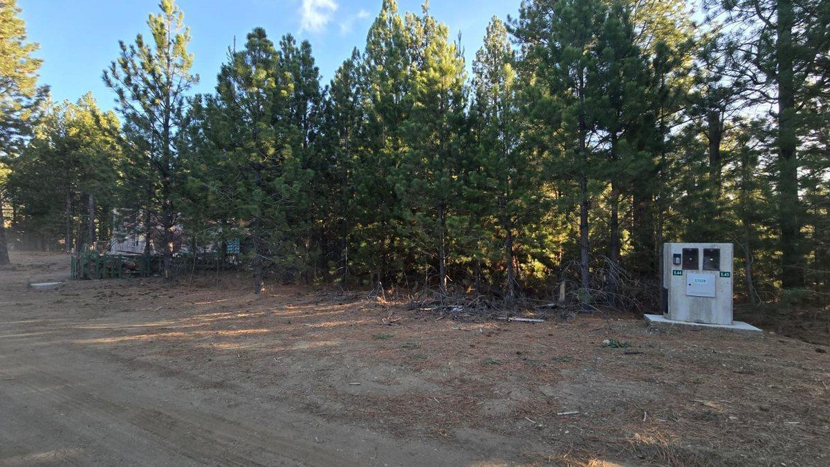 Foto de Venta Terreno en Bariloche Dos Valles Lote L44, imagen 3
