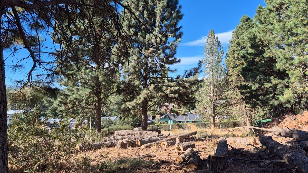 Foto de Lote PH en venta – Dina Huapi, imagen 2