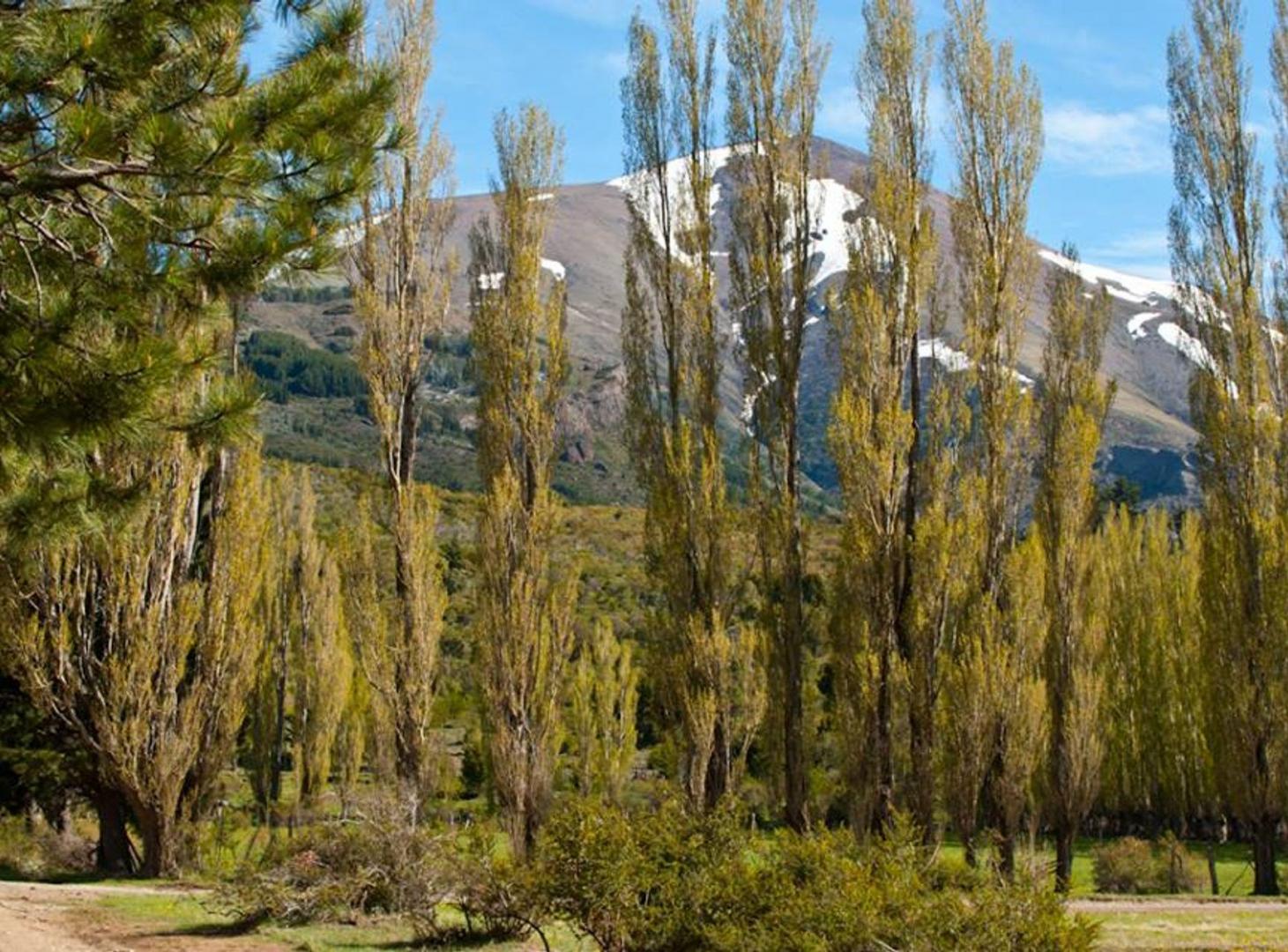 Foto de VENTA DE LOTE (K9) EN CLUB DE CAMPO DOS VALLES, imagen 3