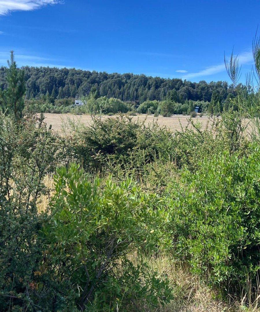 Foto de AMPLIO LOTE EN EL OESTE DE BARILOCHE, imagen 5