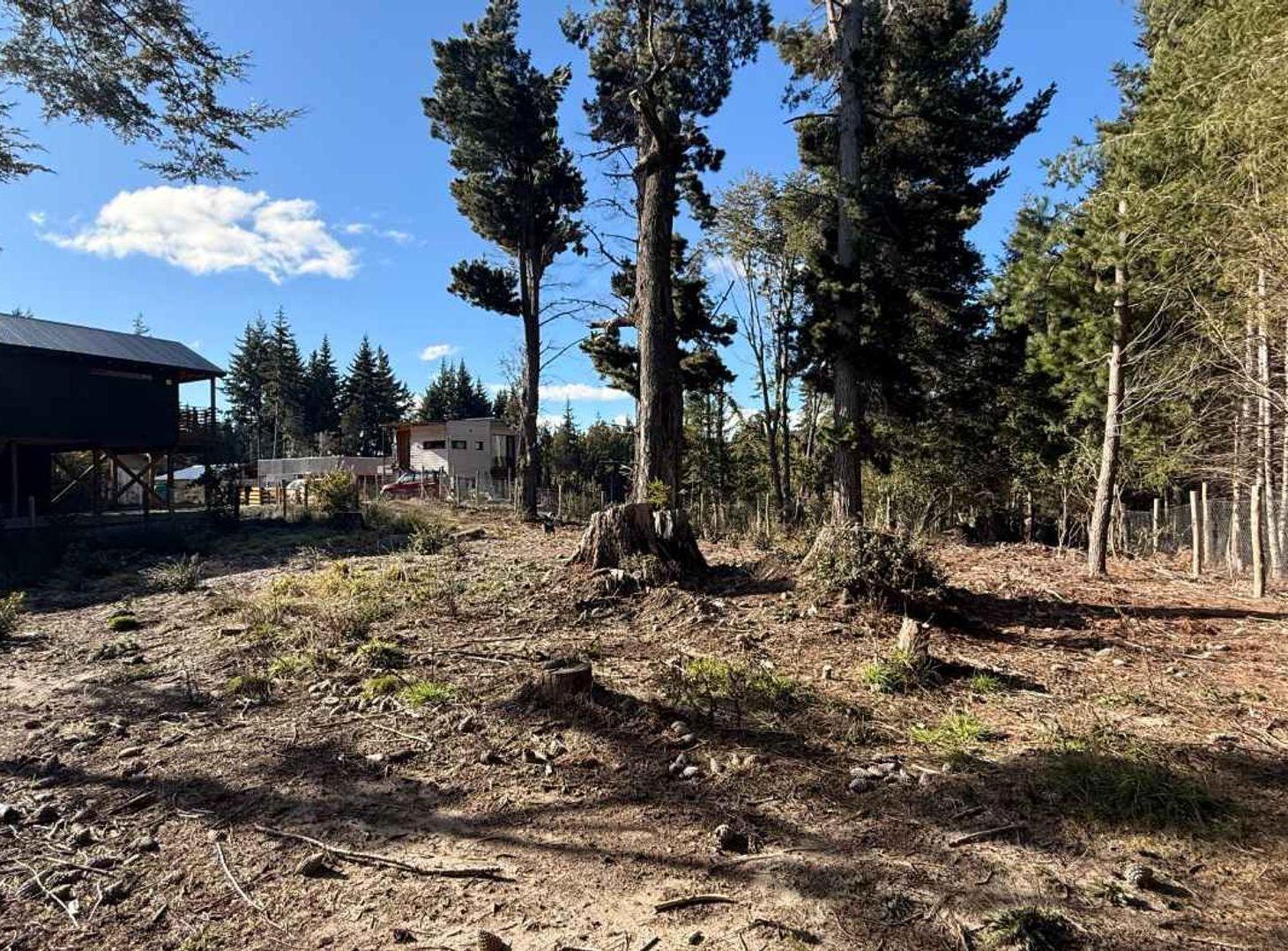 Foto de LOTE BOSCOSO EN CIRCUITO CHICO EN VENTA, imagen 2