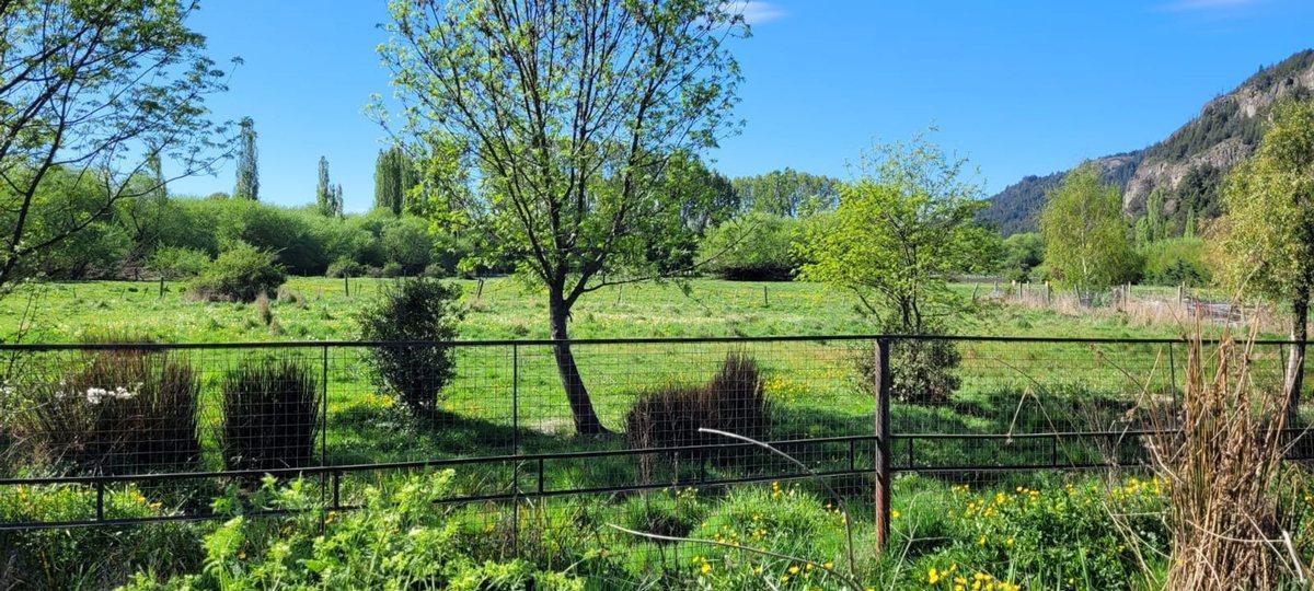 Foto de Lote P5 en José Hernández El Bolsón, imagen 2