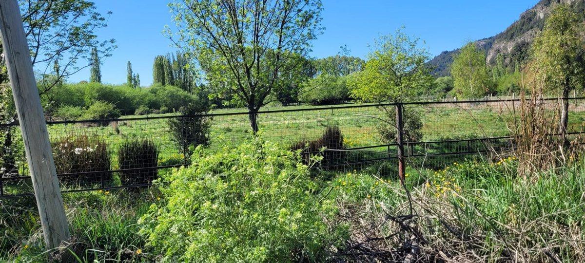 Foto de Lote P5 en José Hernández El Bolsón, imagen 5