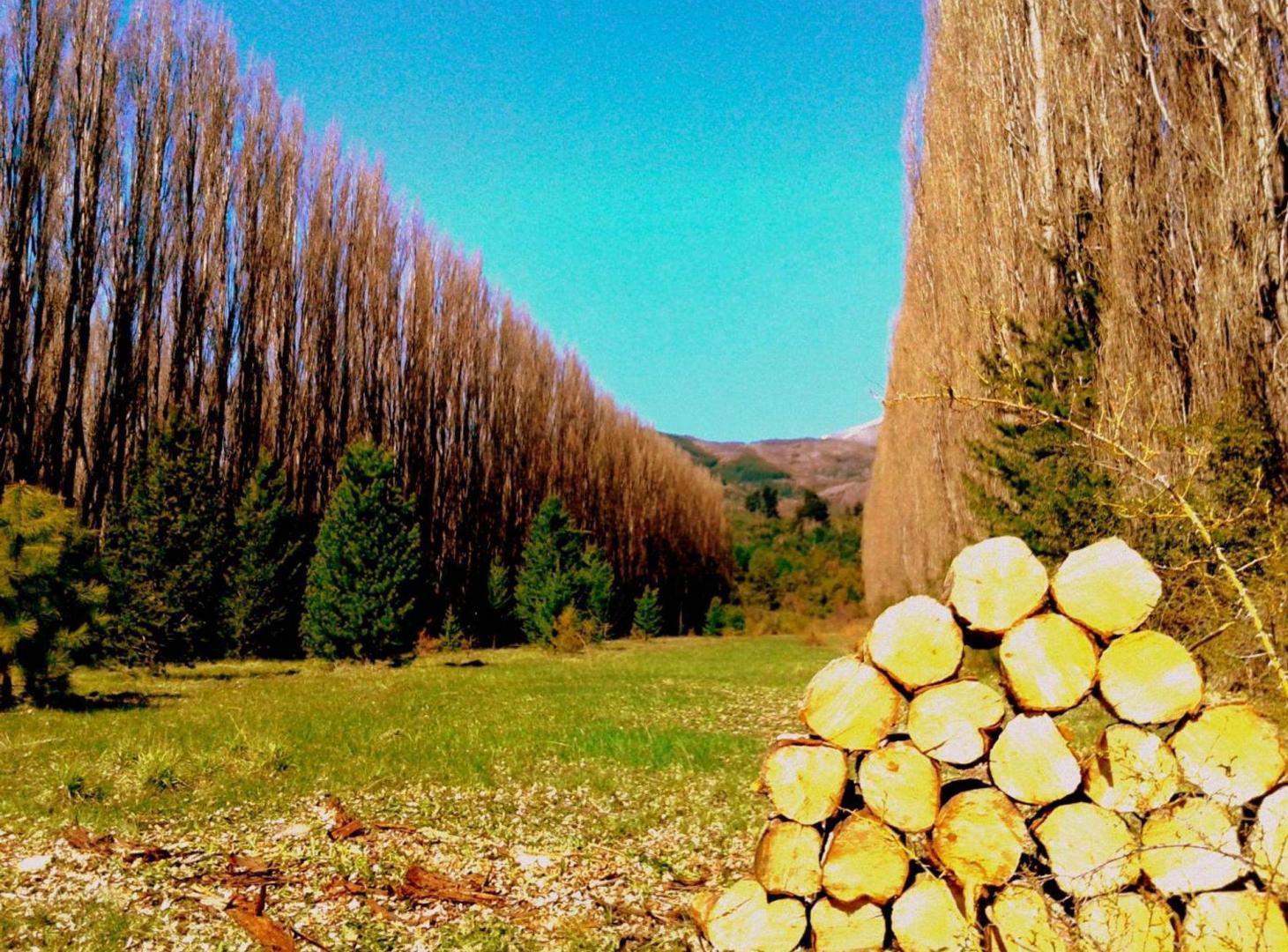 Foto de VENTA LOTE, VISTA VIDA FAMILIAR - CLUB DE CAMPO -, imagen 2