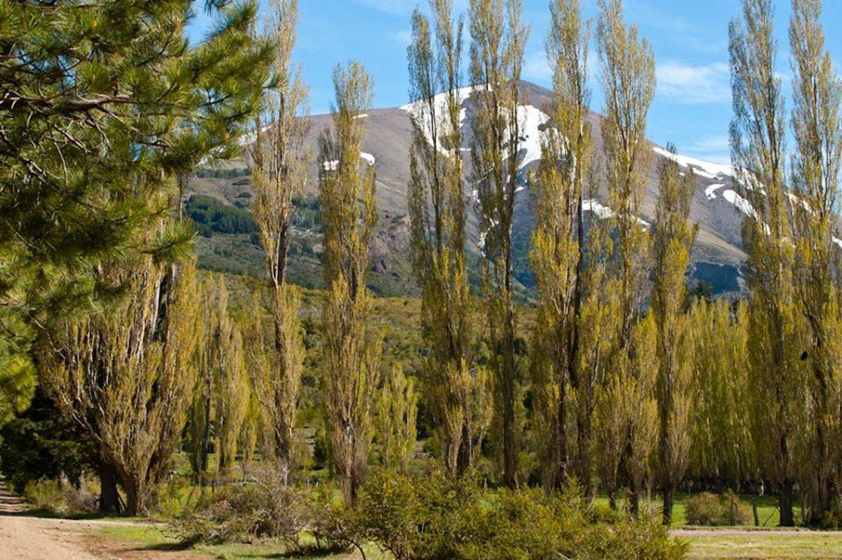 Foto de TERRENO EN DOS VALLES - FINANCIADO, imagen 5