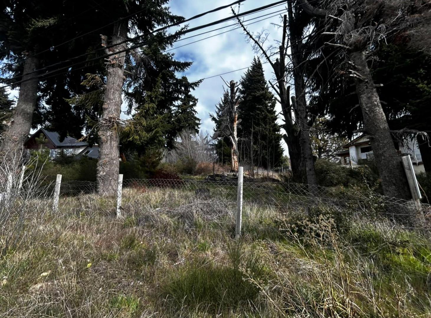 Foto de Lote en venta sobre avenida Bustillo, imagen 5