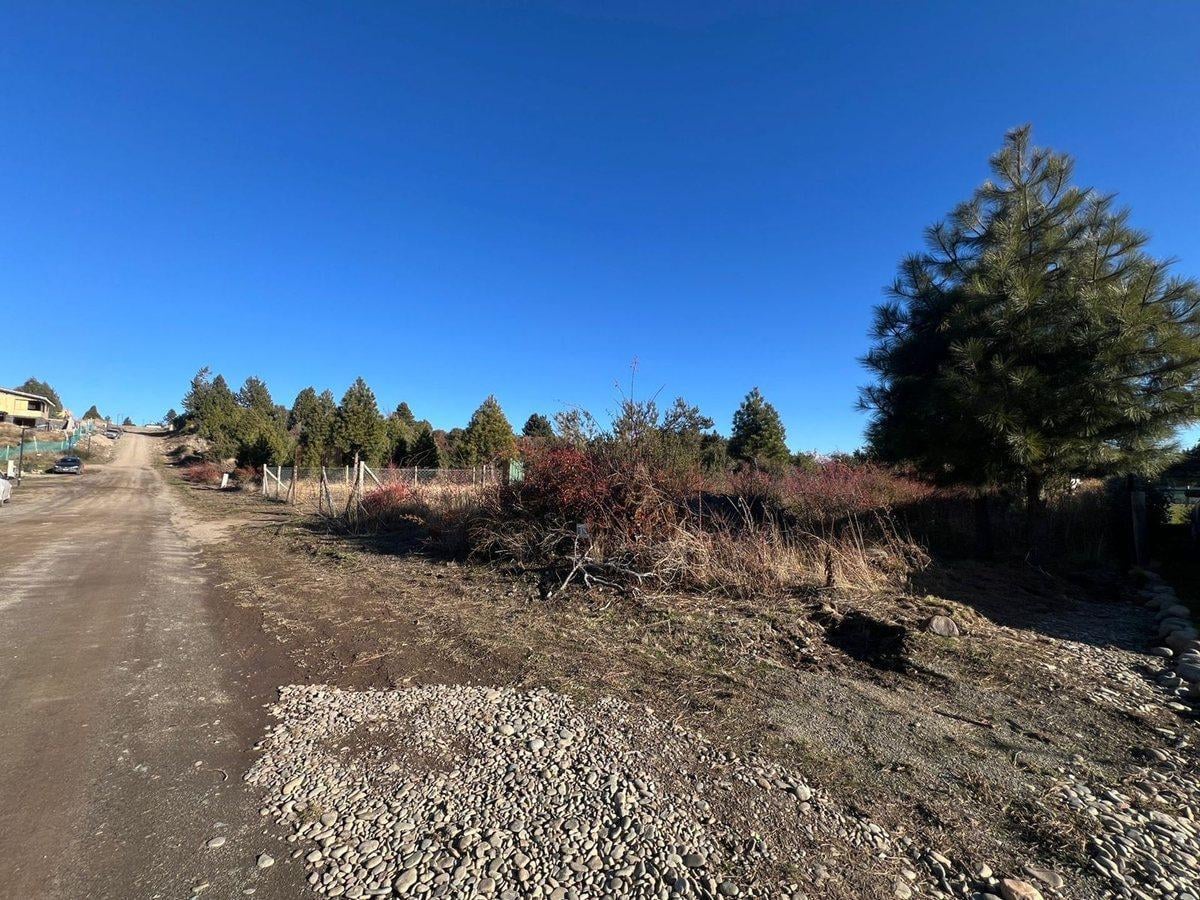 Foto de Terreno en Solares con Vista al Lago, imagen 2