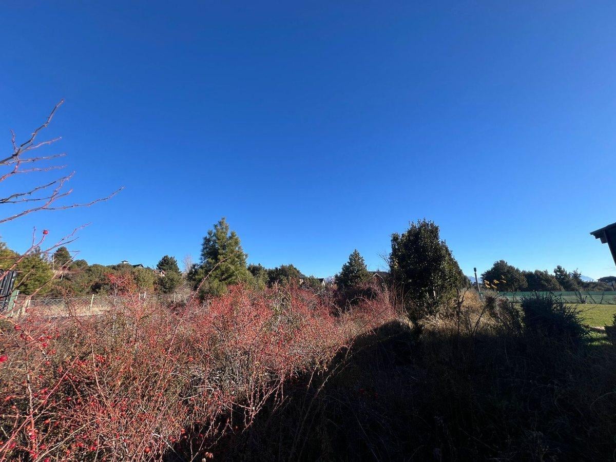 Foto de Terreno en Solares con Vista al Lago, imagen 5