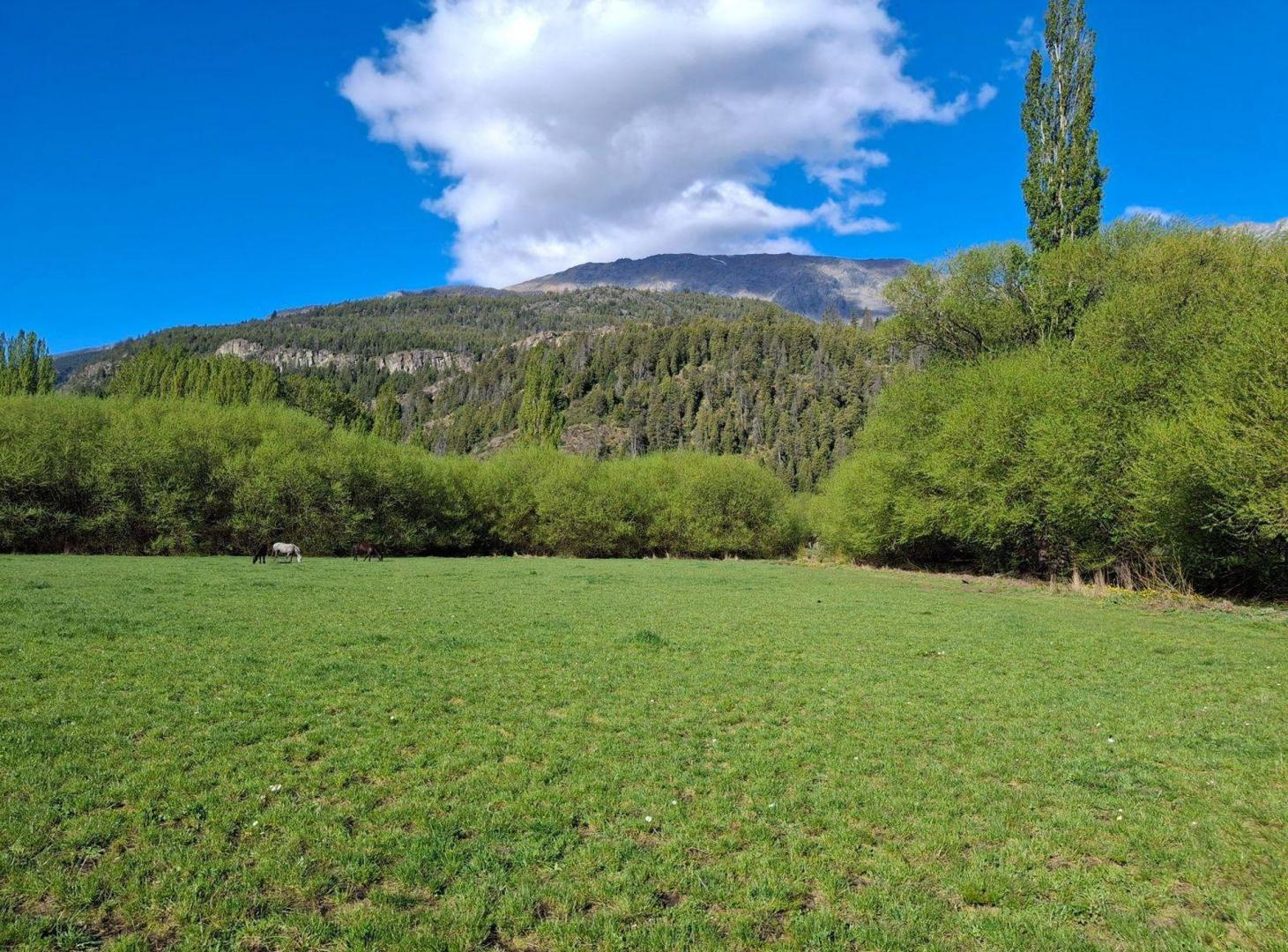 Foto de Loteo Terrazas del Piltriquitrón El Bolsón, imagen 1