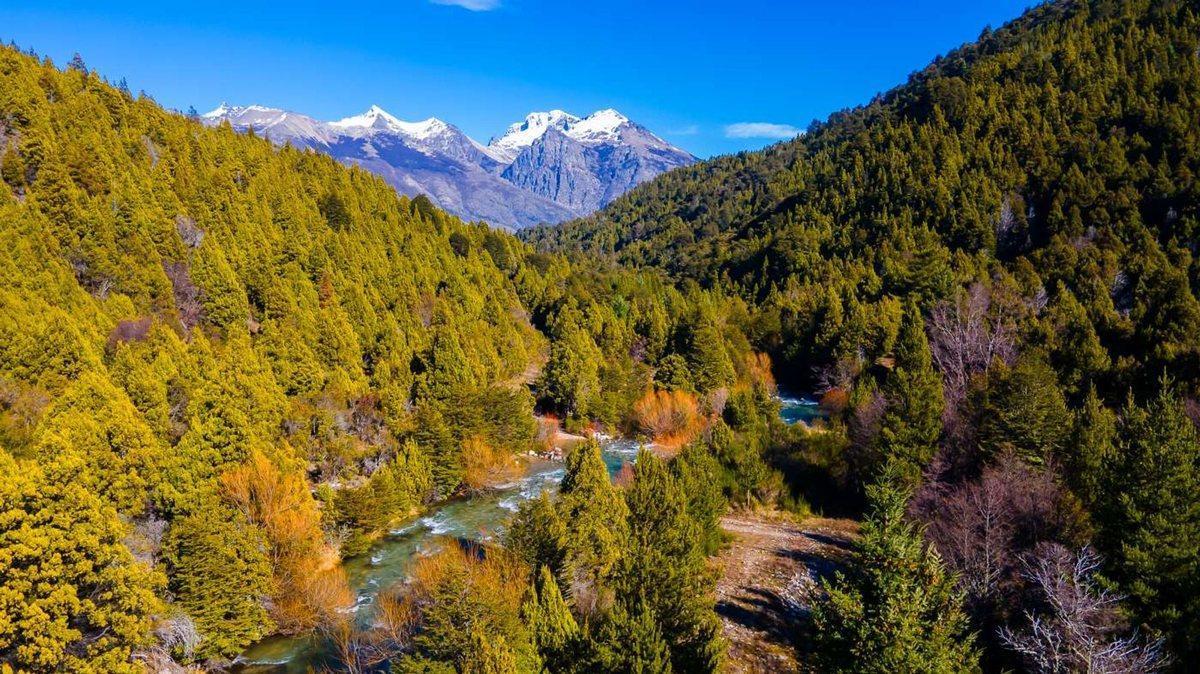 Foto de Campo Cuesta del Ternero, imagen 1