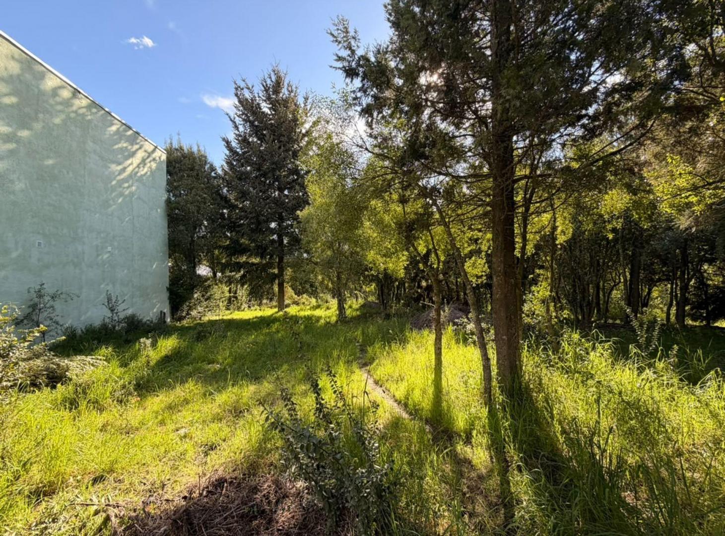 Lote Arbolado en Buena Vista