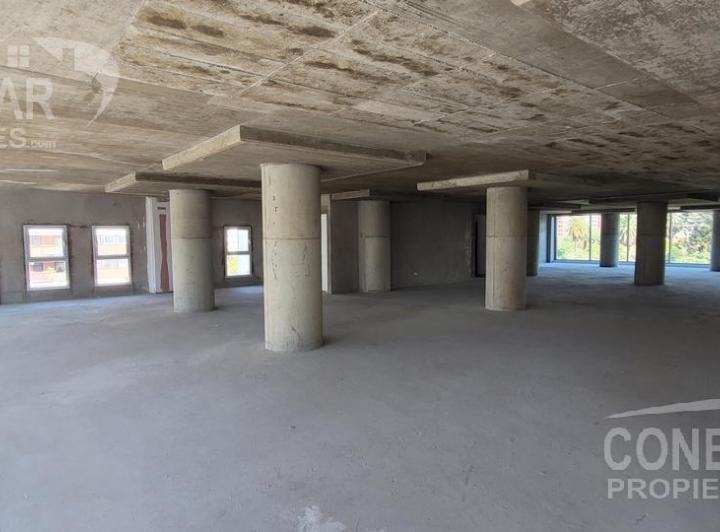 Oficina en alquiler 500 m2 Planta Libre  - Vista abierta frente al parque  - 4 cocheras 2
