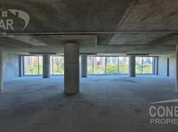 Oficina en alquiler 250 m2 Planta Libre  - Vista abierta frente al parque  - 2 cocheras 5