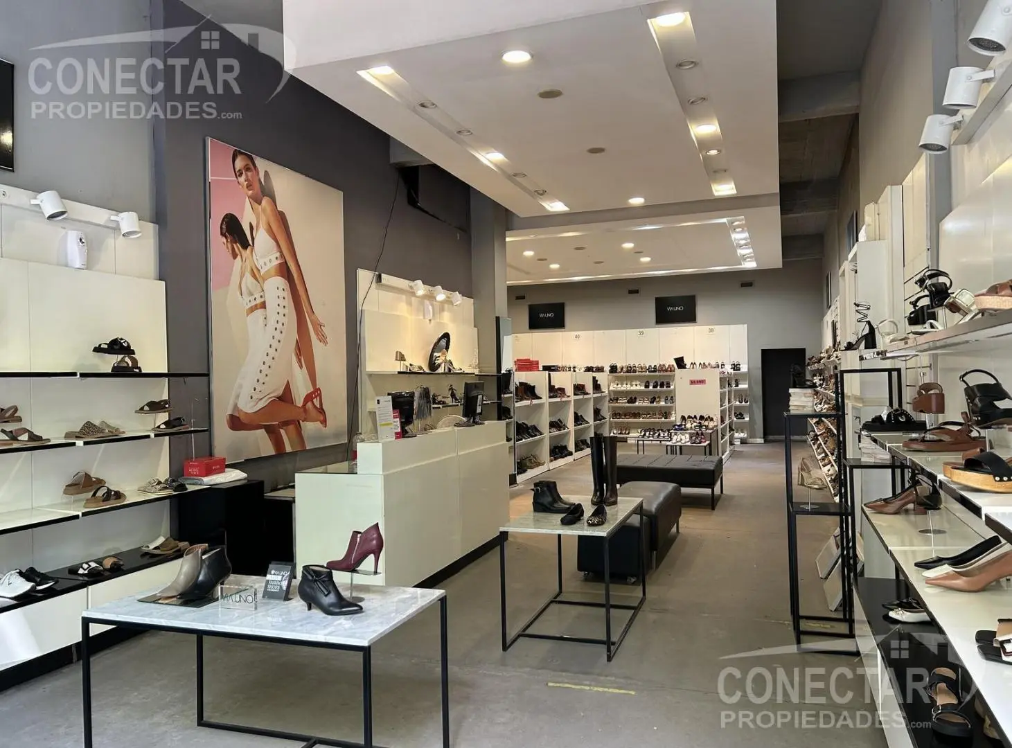Local 8,66 x 24   oficinas en 2 plantas - apto todo rubro - ideal local  y  oficinas 3