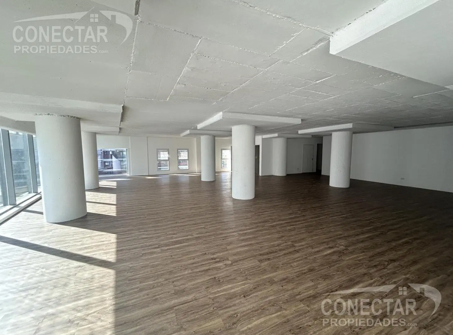 Oficina en alquiler 240 m2 Planta Libre  - Vista abierta muy luminoso 2 cocheras 2