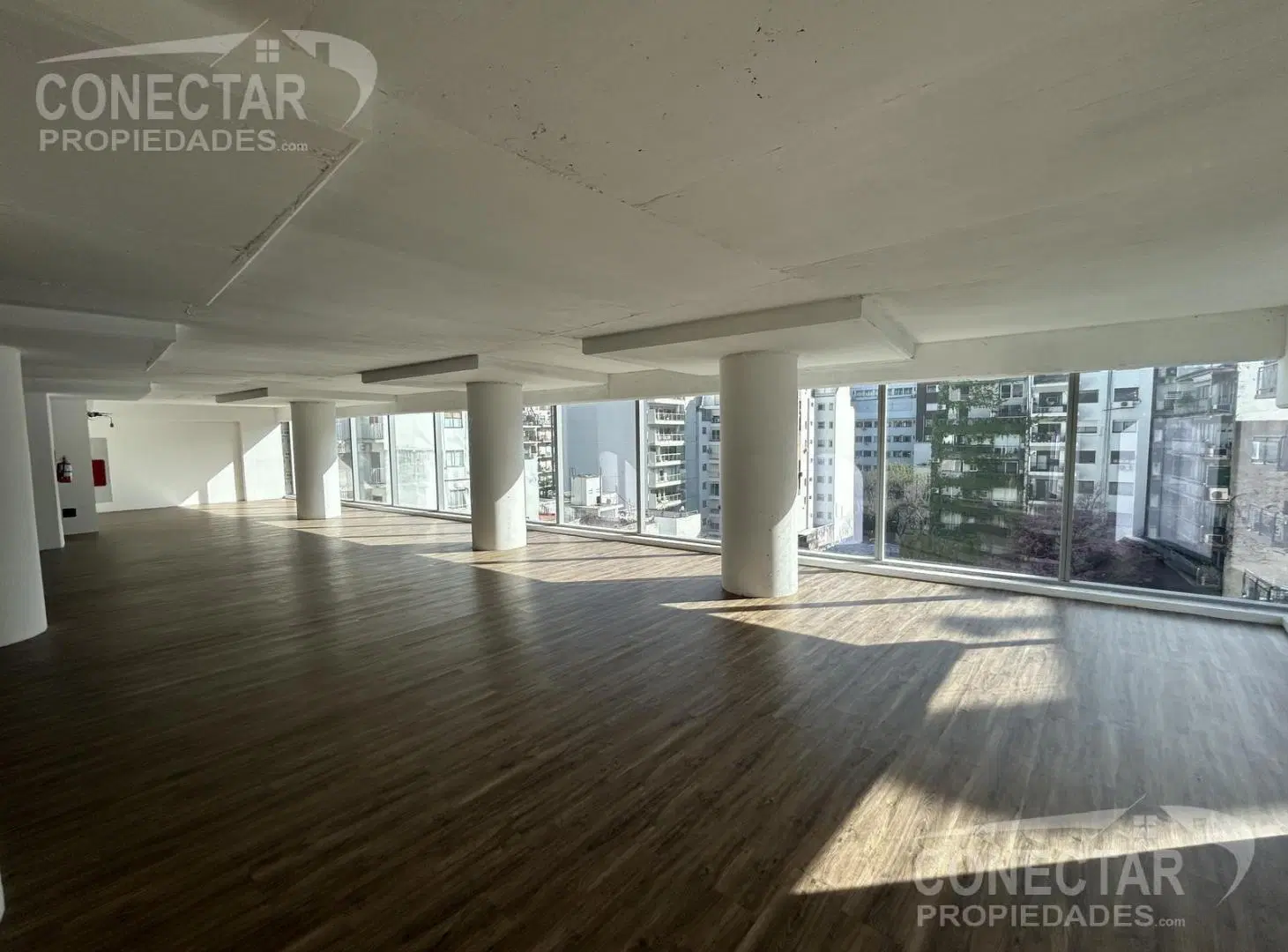 Oficina en alquiler 240 m2 Planta Libre  - Vista abierta muy luminoso 2 cocheras 3
