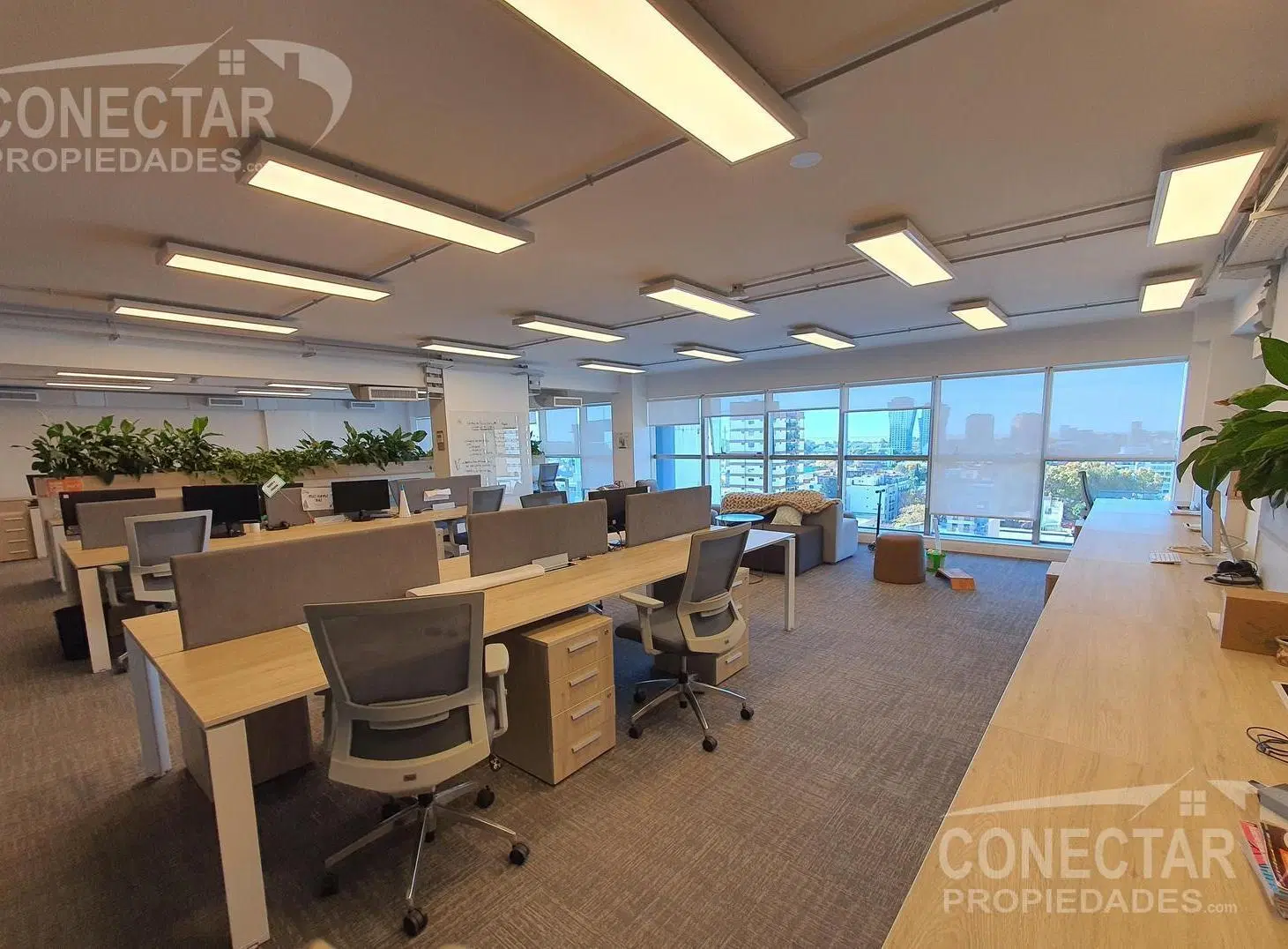 Oficina equipada y amoblada -  450 m2 -  vista al  rio - Liberatdor y Sucre - cocheras 3