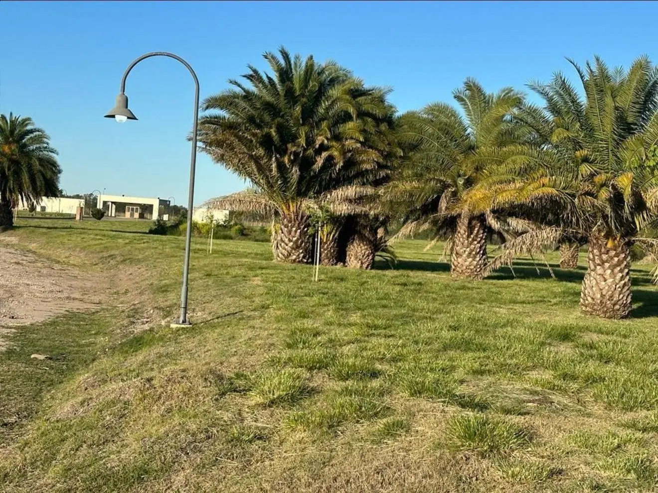Lote en venta - Santa Catalina Club de Campo & Golf 8