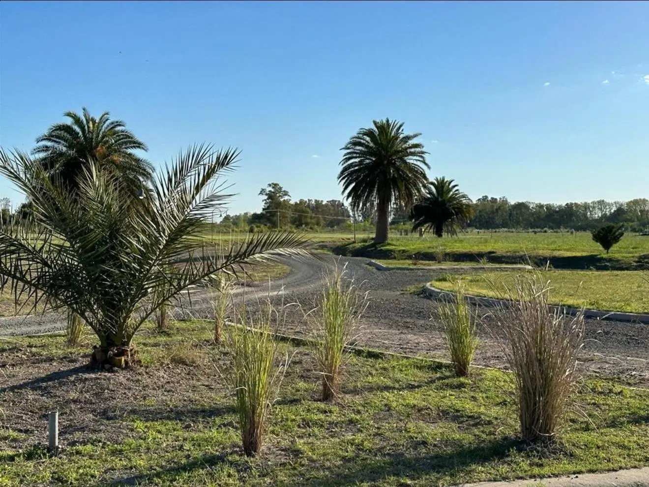 Lote en venta - Santa Catalina Club de Campo & Golf 5