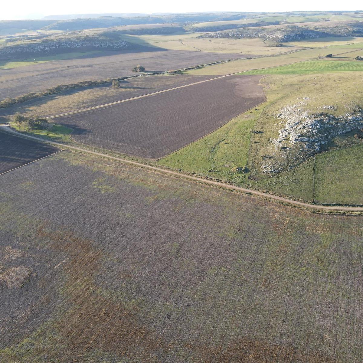 70 Ha - Las Piedritas - Balcarce 2