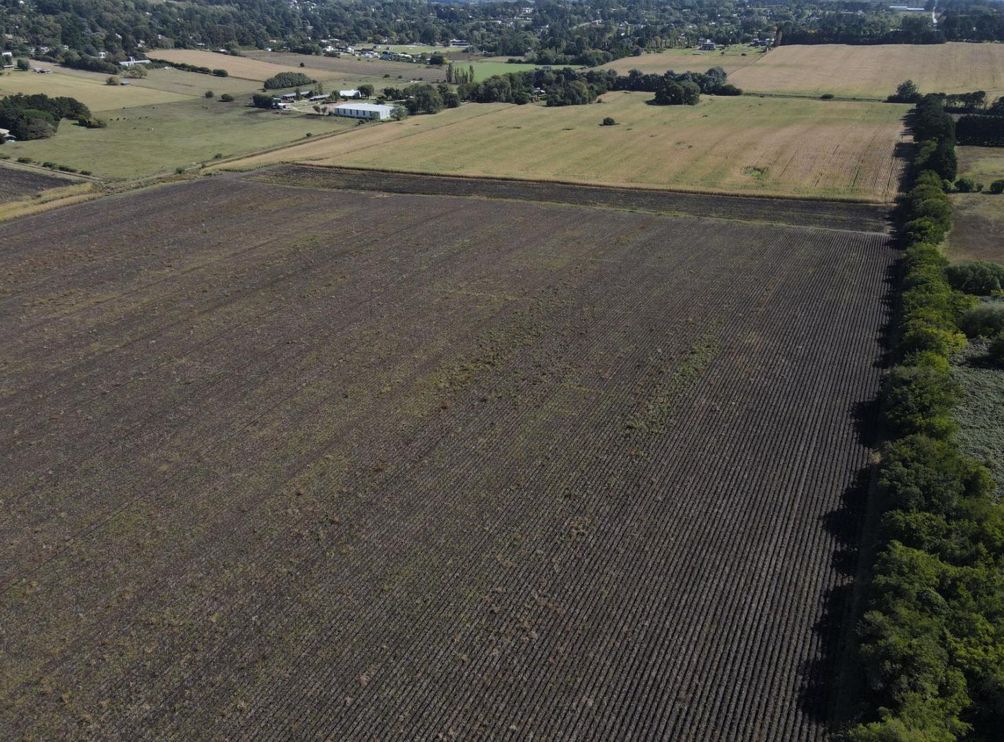Foto de Campo en Sierra De Los Padres agricola, imagen 2