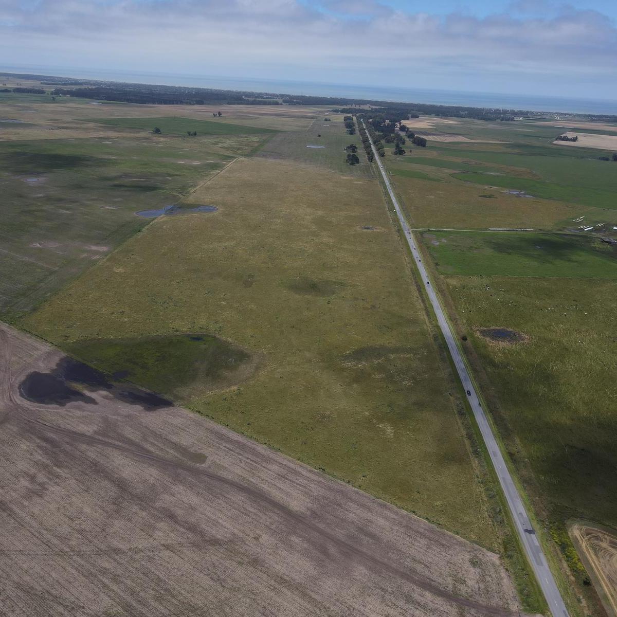 Campo en El Casal de 37 Ha