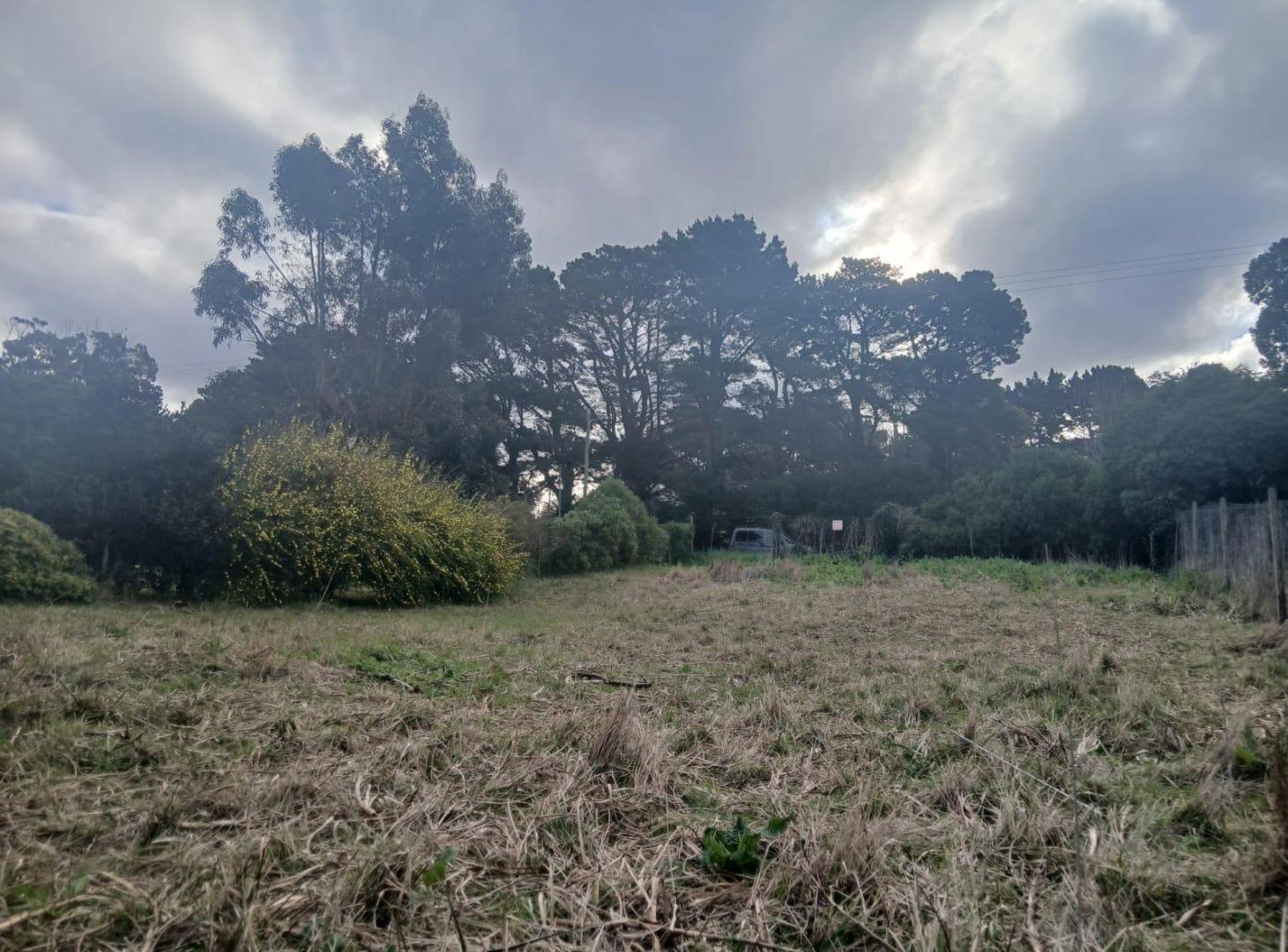 Foto de Terreno en Barrio Chapadmalal, imagen 3