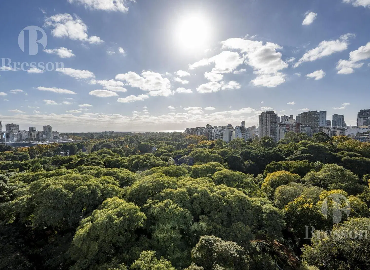 Panorámica sobre Jardín Botánico 5