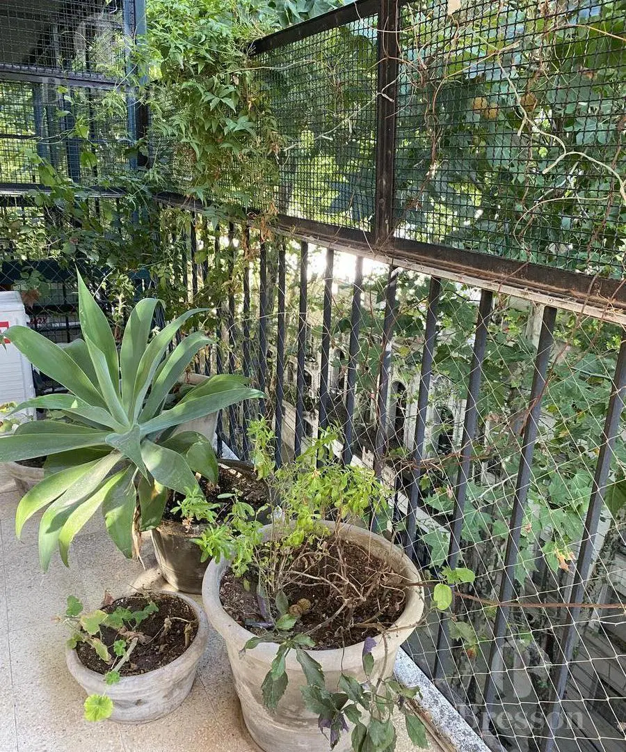 Departamento - Belgrano Cuba 2200 1
