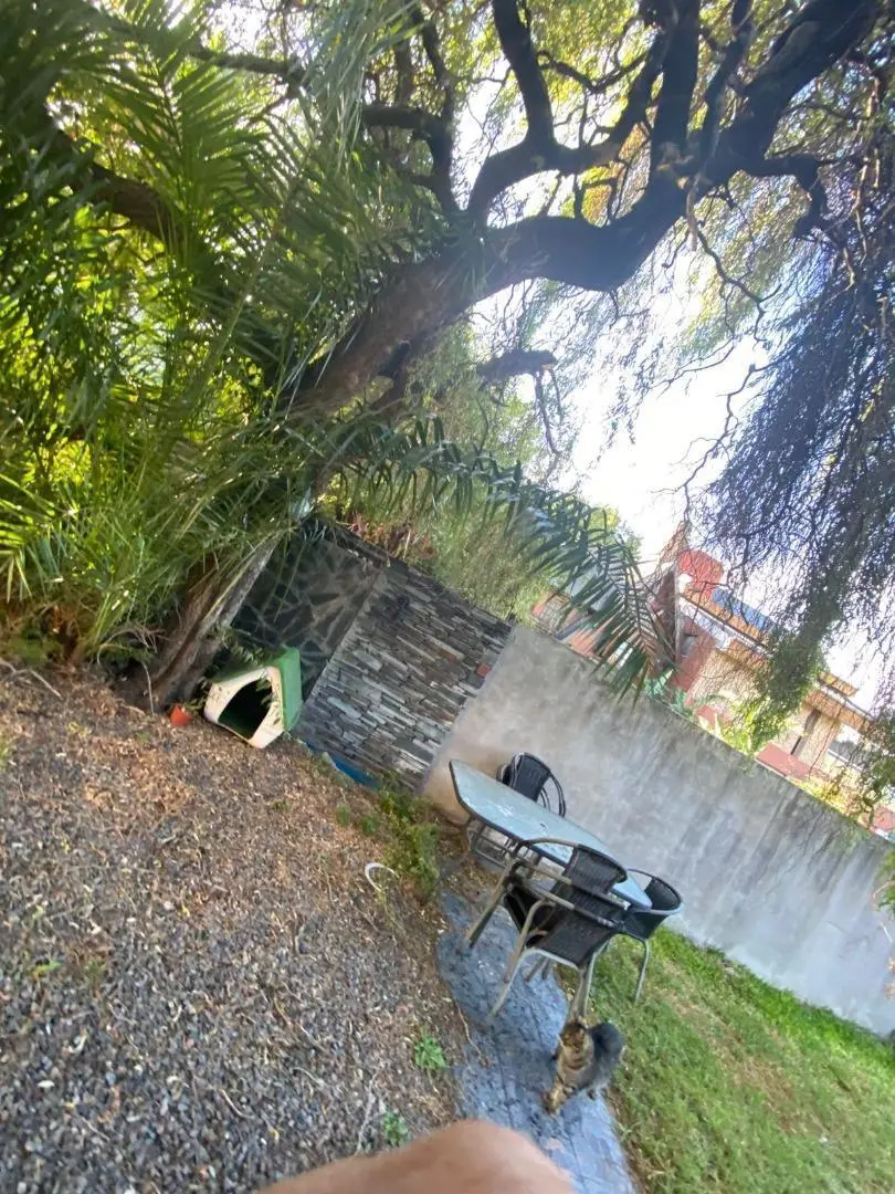 TERRENO DE 10 X 35 CON QUINCHO 2