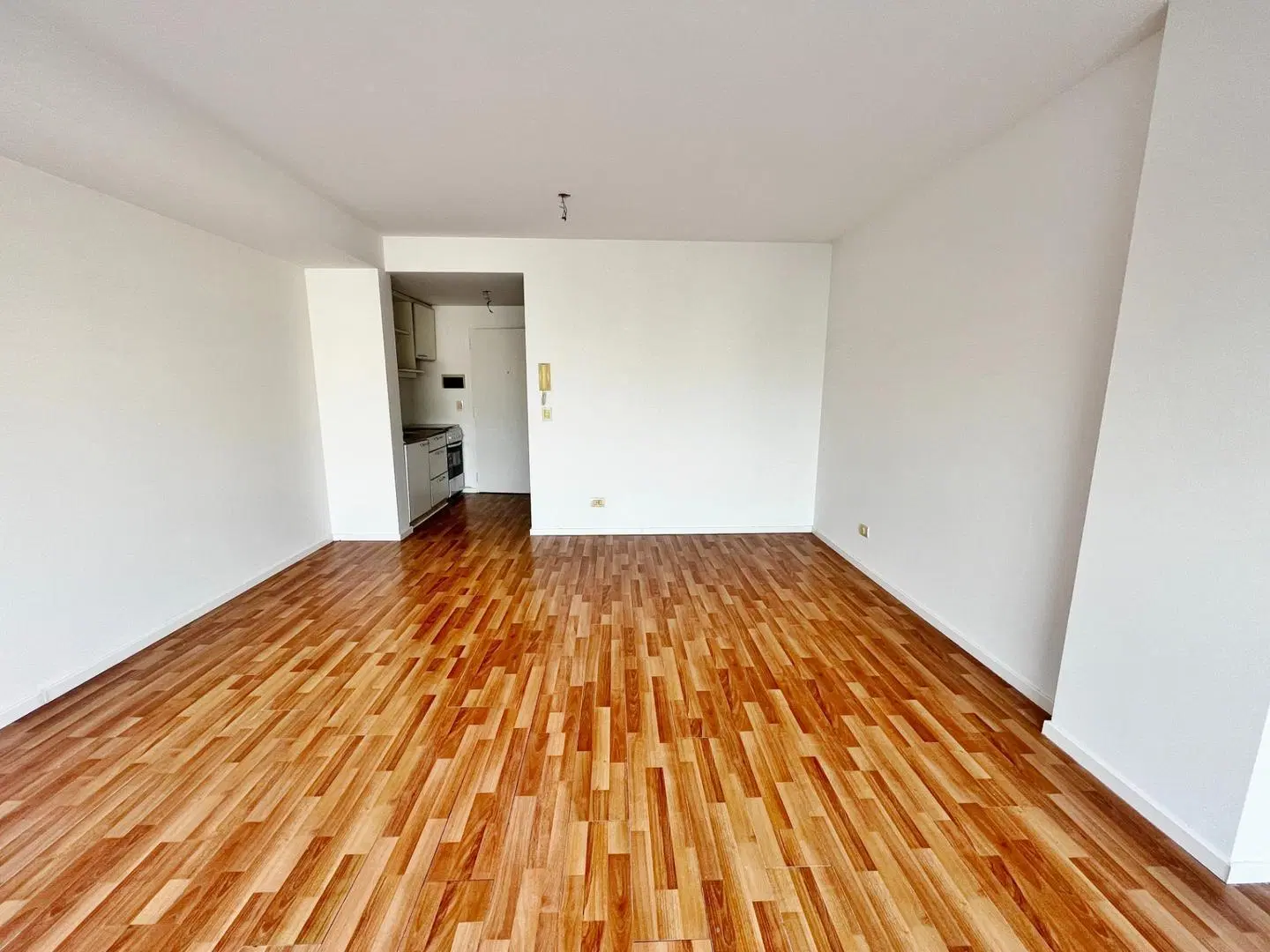 Amplio monoambiente con terraza - Alquiler - V. Urquiza 3