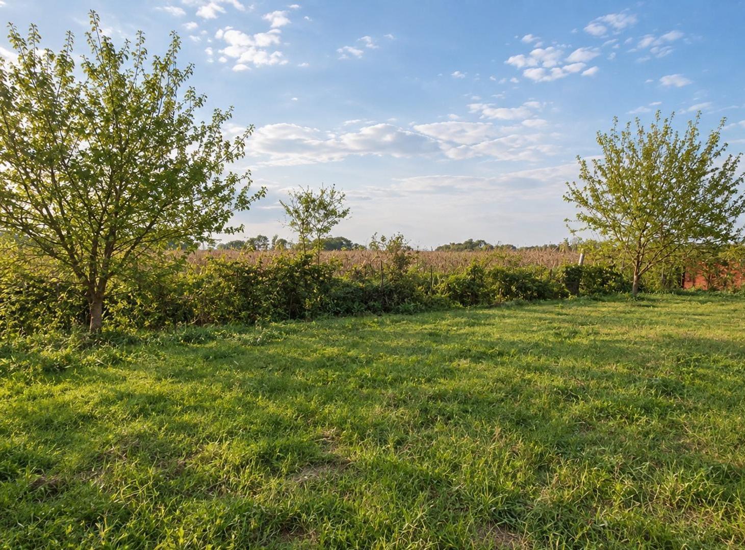 Foto de Lote de 1500m2 en Barrio Cerrado Comarca del Sol, imagen 3