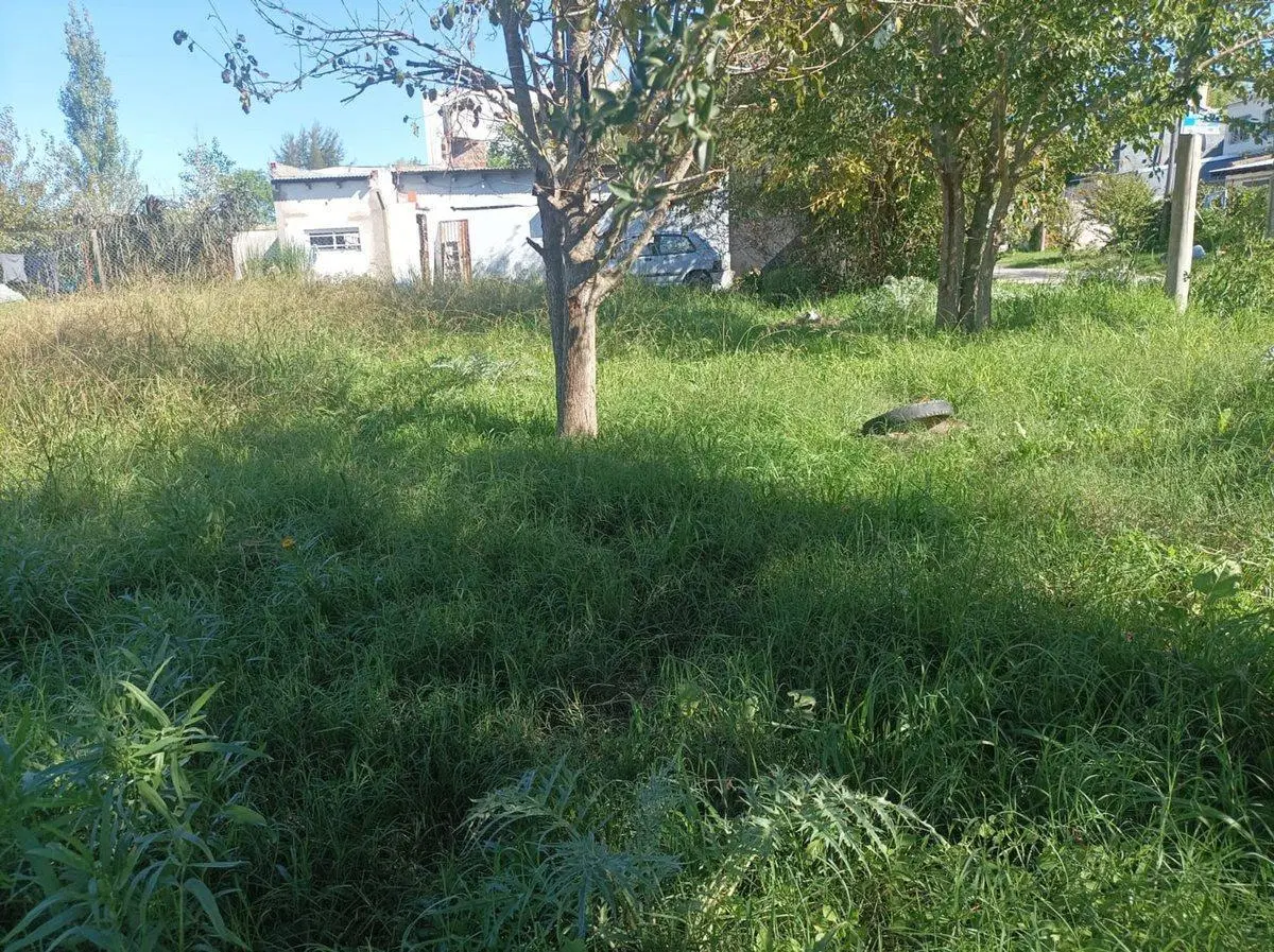 LOTE EN VENTA EN LA PLATA - VILLA CASTELLS 4