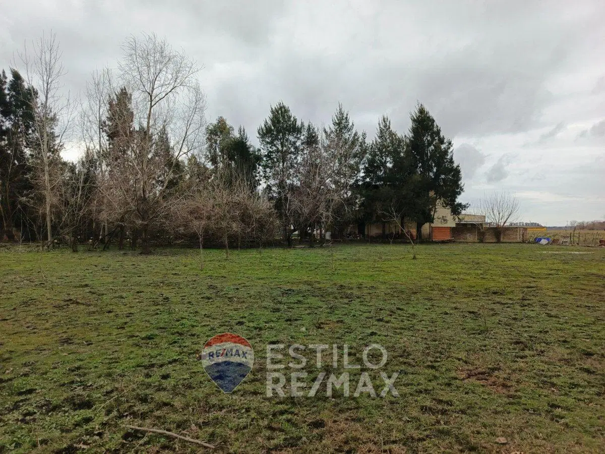 LOTE EN GÓMEZ EN VENTA 5