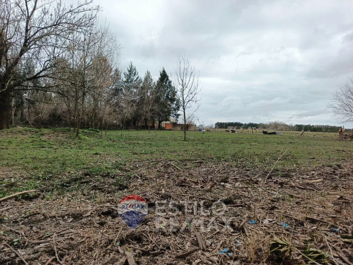 LOTE EN GÓMEZ EN VENTA 4