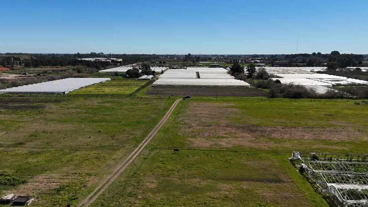 VENTA DE CAMPO DE 3,44 HAS. EN LOS HORNOS, LAPLATA 3