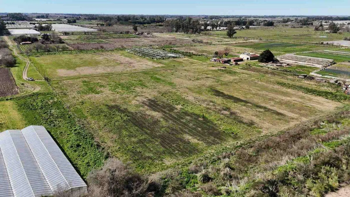 VENTA DE CAMPO DE 3,44 HAS. EN LOS HORNOS, LAPLATA 4