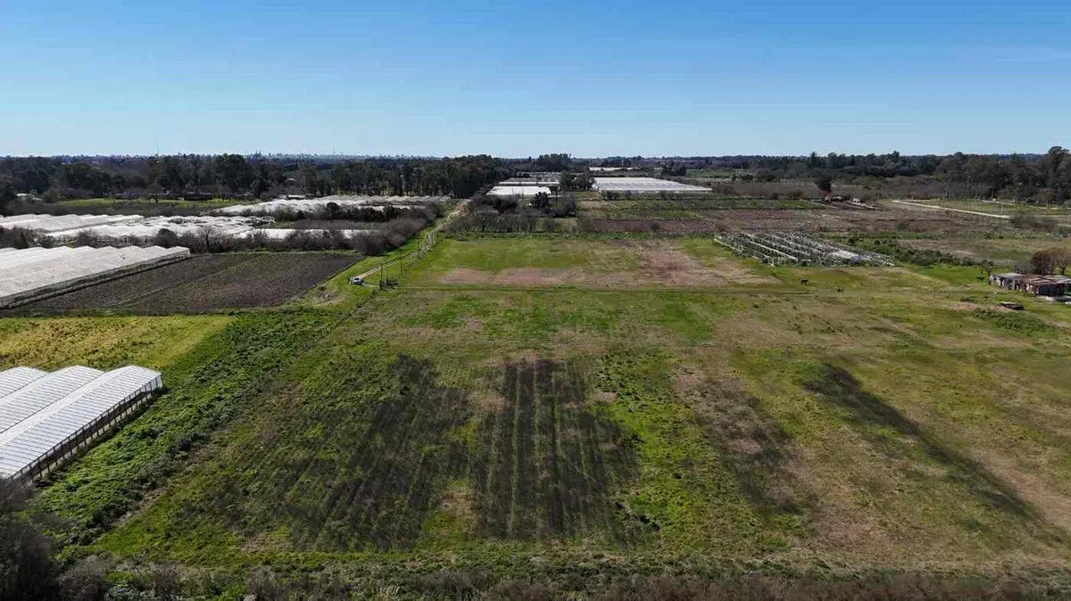 VENTA DE CAMPO DE 3,44 HAS. EN LOS HORNOS, LAPLATA 2