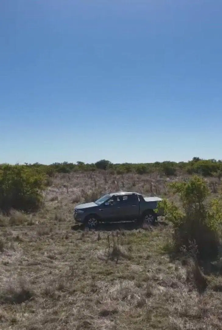 VENTA CAMPO GANADERO DE 162 HAS(LOS TALAS/BERISSO) 4